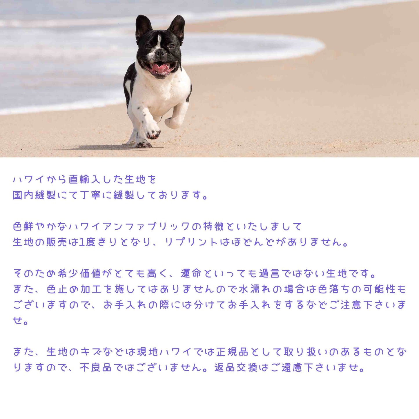 アイスピロー ひんやり 冷たい 熱中症対策グッズ 暑さ対策 犬 ペット ペット用品 保冷剤 アイス枕 アイス こおり