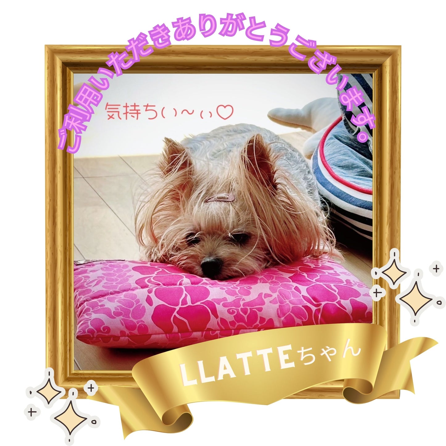 アイスピロー ひんやり 冷たい 熱中症対策グッズ 暑さ対策 犬 ペット ペット用品 保冷剤 アイス枕 アイス こおり