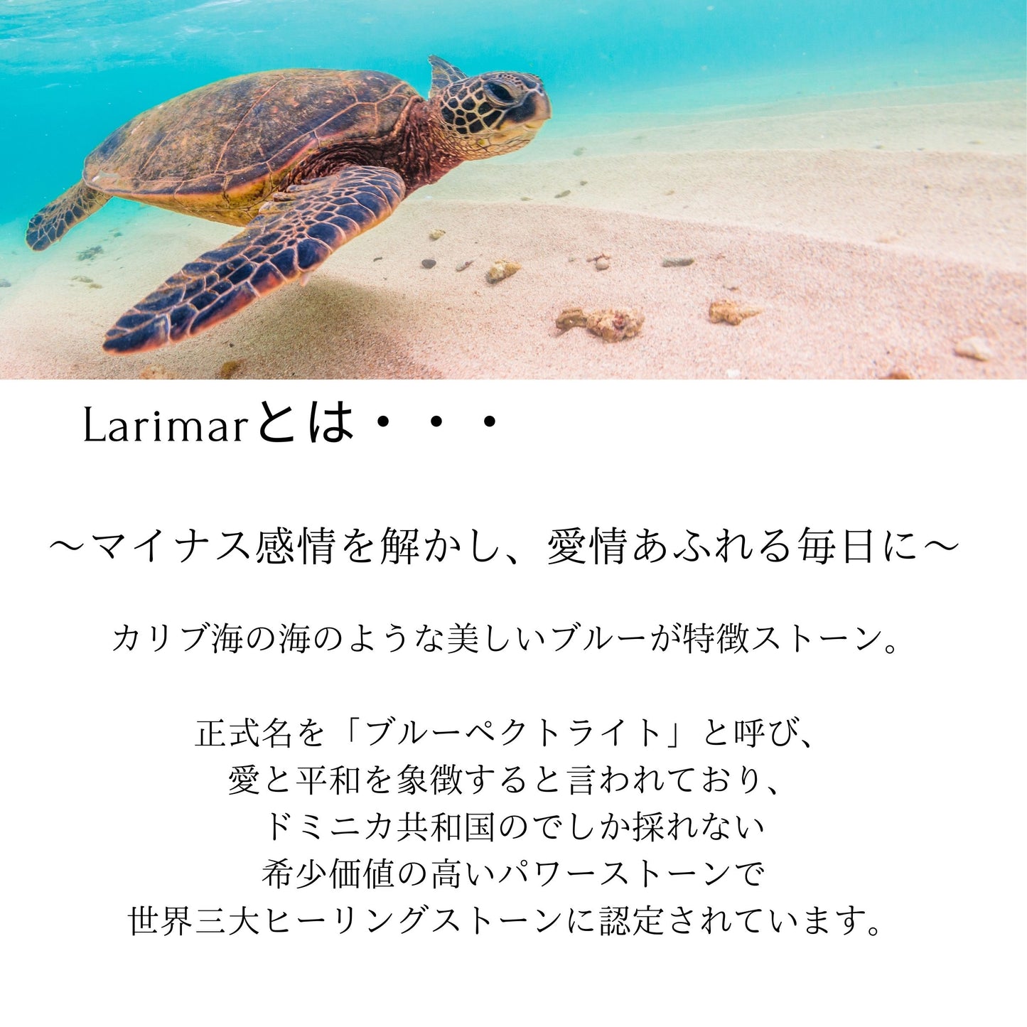 ラリマー ティアドロップ しずく 涙型 BIG 大きい 天然石 癒し パワーストーン ハワイアンアクセサリー ネックレス ハワイ フラ フラダンス ペンダント 上品 服を選ばない カジュアルにもおすすめ