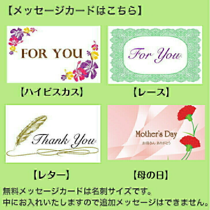 ニット チュニック ハワイアンリーフ柄