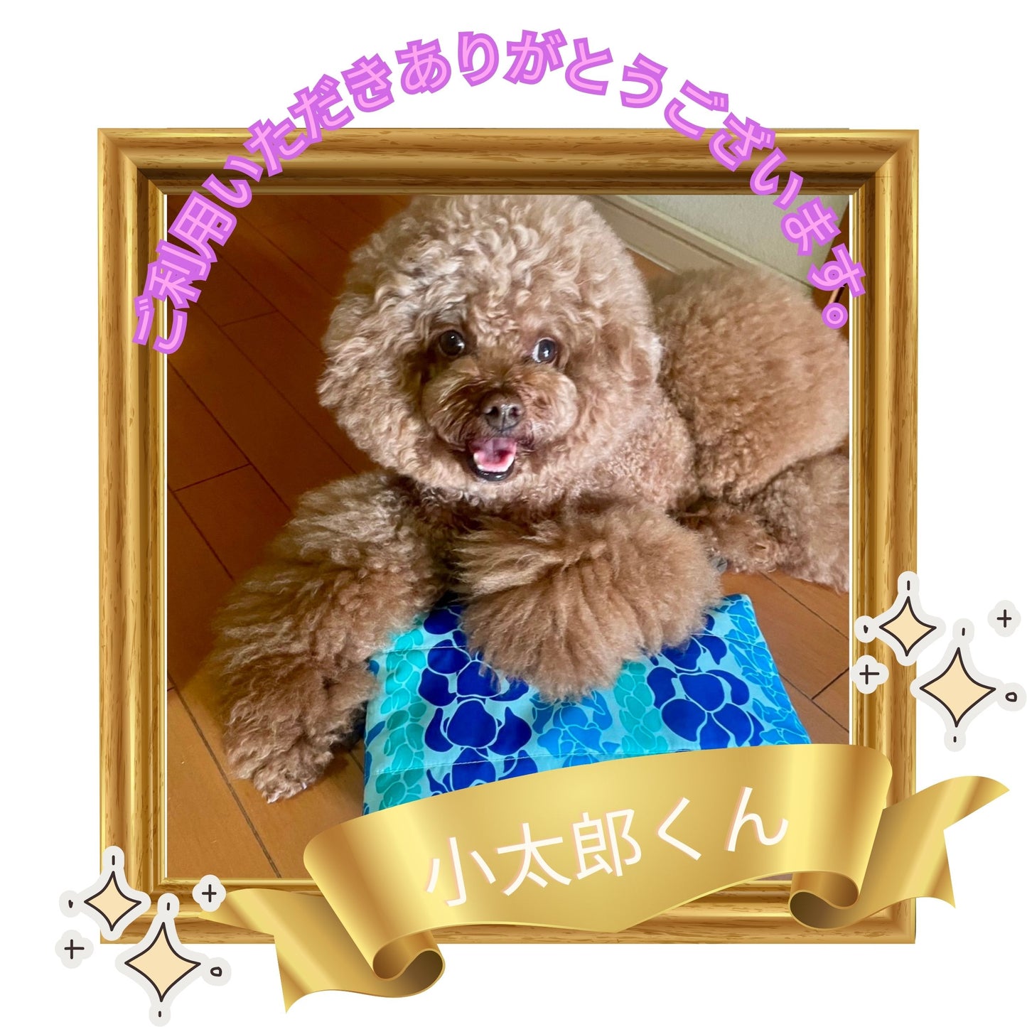アイスピロー ひんやり 冷たい 熱中症対策グッズ 暑さ対策 犬 ペット ペット用品 保冷剤 アイス枕 アイス こおり