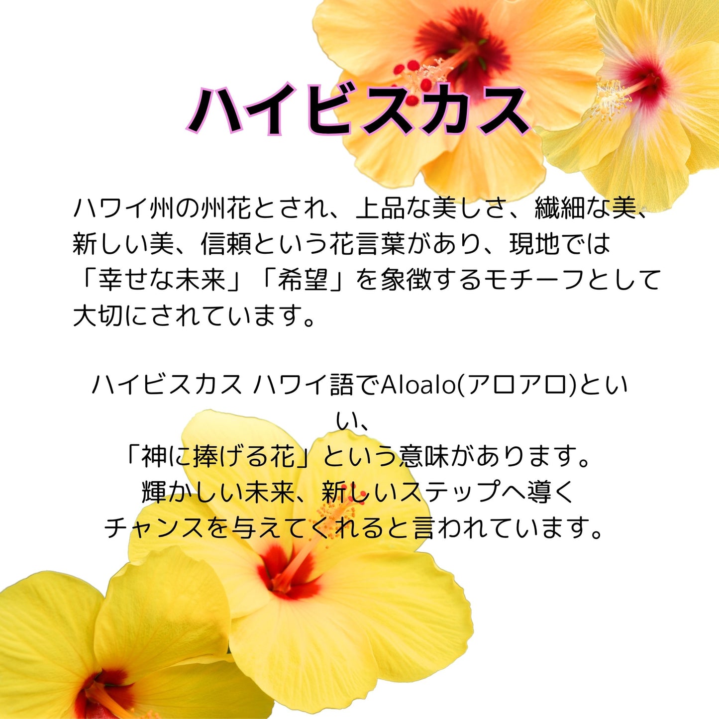 ネコポス対応商品 KuKui オリジナル 半袖 Tシャツ「ハイビスカス」イエロー フラダンス レッスン ハワイアン S M L XL 3L  フラT 衣装 ハワイ プレゼント ギフト 母の日 日本製